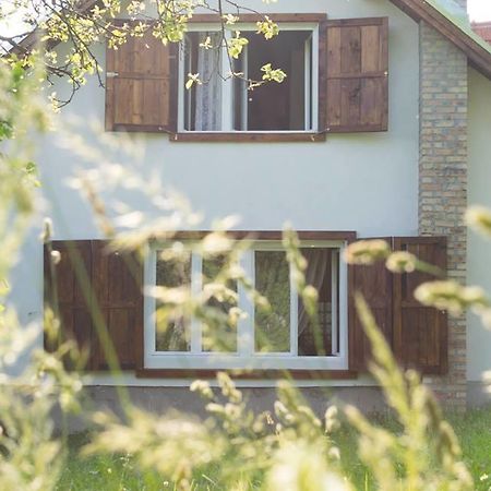 Casa Bunicii - Bran Sohodol Villa Sohodol  Eksteriør bilde