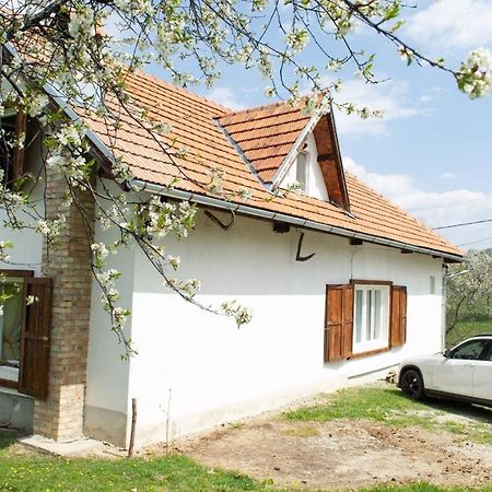 Casa Bunicii - Bran Sohodol Villa Sohodol  Eksteriør bilde