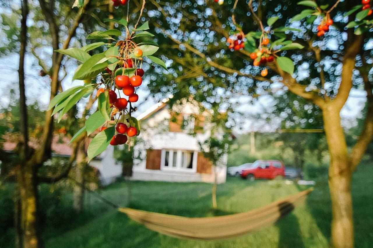 Casa Bunicii - Bran Sohodol Villa Sohodol  Eksteriør bilde